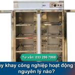 Tủ sấy khay công nghiệp hoạt động theo nguyên lý nào?